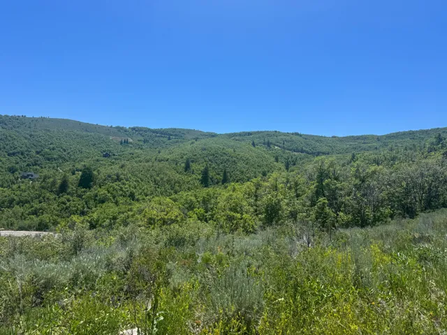 6000 Old Snow Basin Rd, Huntsville, Utah 84317