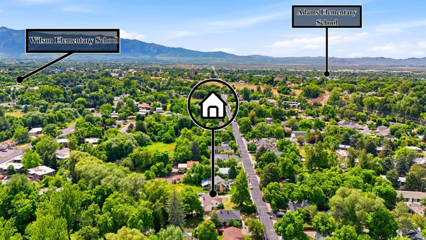 Aerial perspective showcasing a residential area with extensive tree canopy and distant mountain ranges
