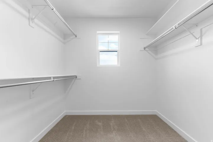 Walk-in closet featuring a window, light-toned carpeting, white walls, and built-in shelving with hanging rods