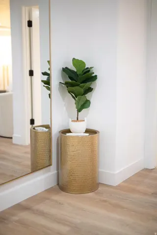 Light wood-finish flooring complemented by crisp white baseboards
