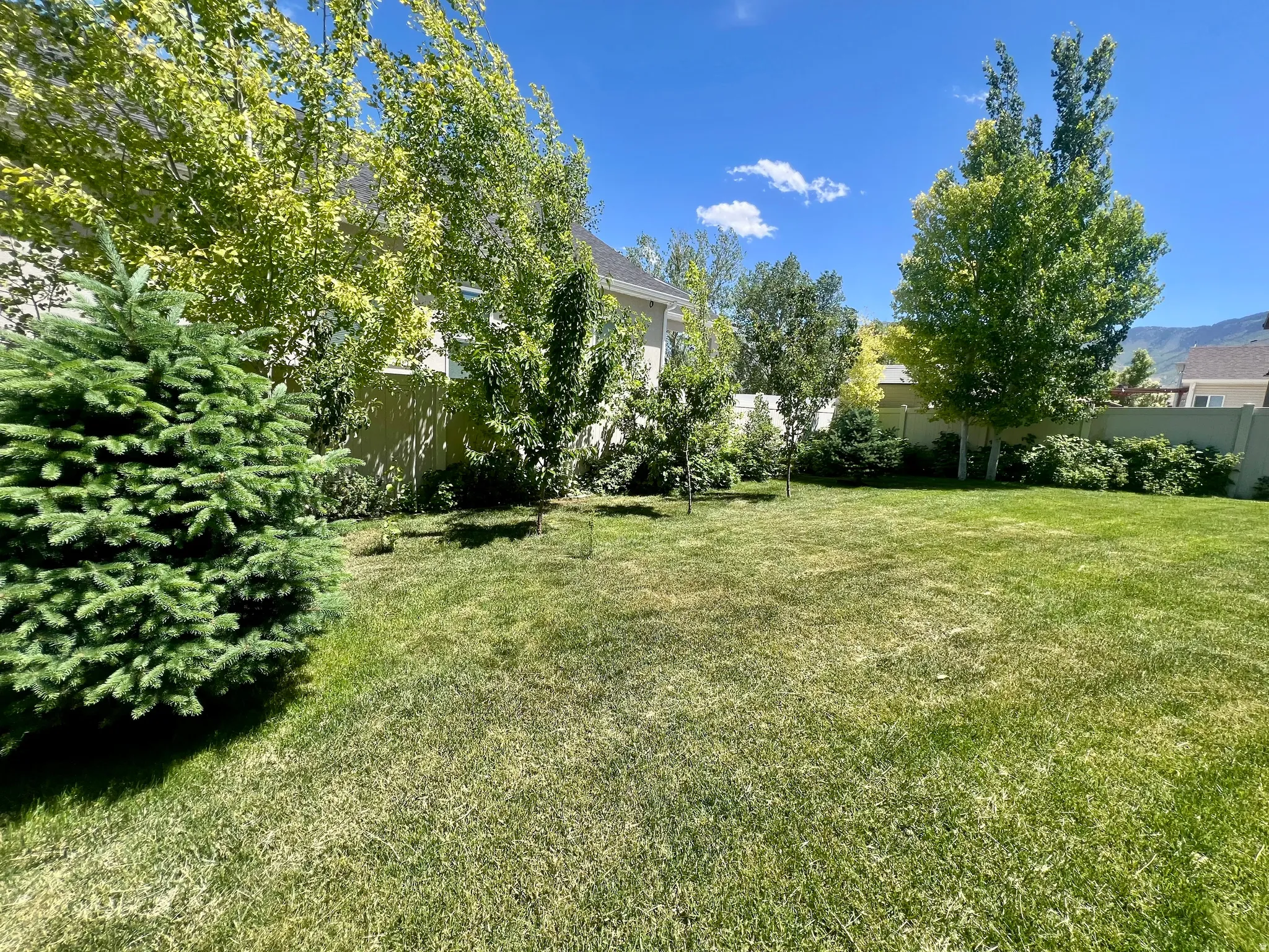Expansive green lawn with established landscaping, including evergreen and deciduous trees