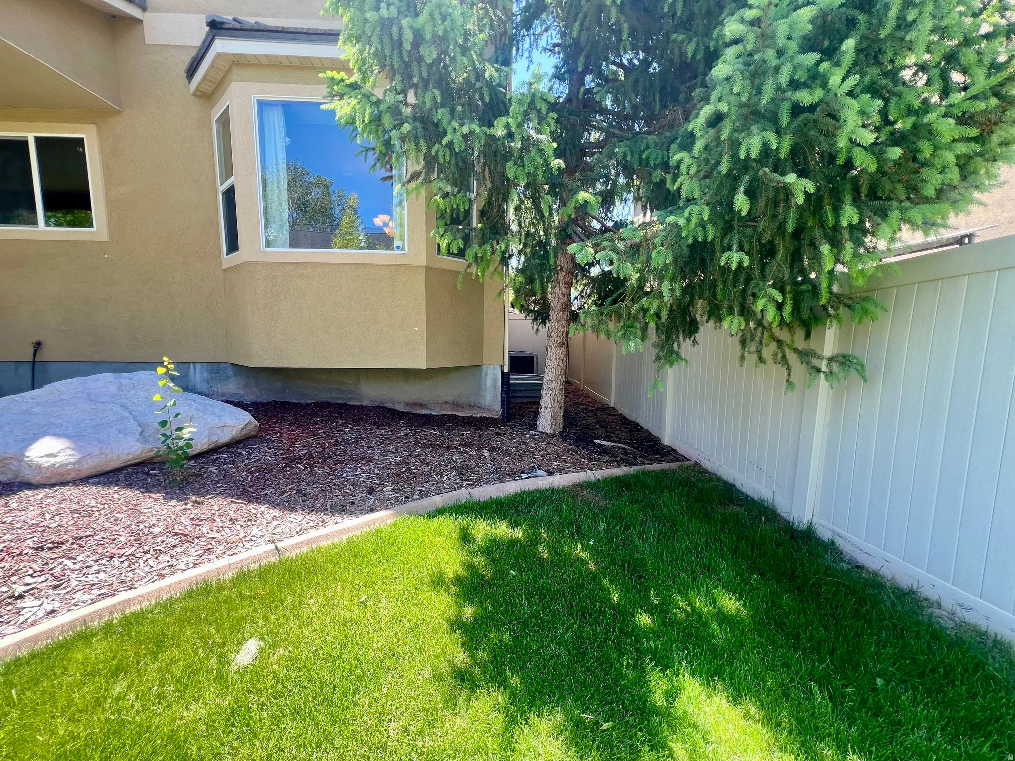 Expansive lawn area with a defined border, featuring a mature evergreen tree