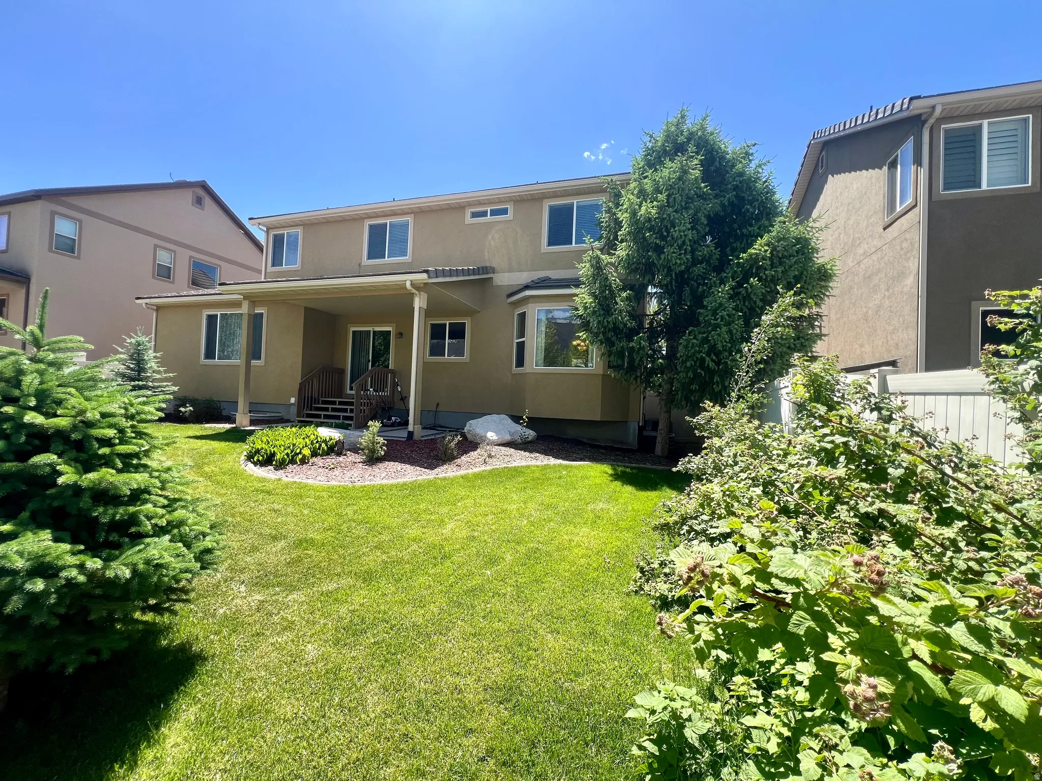 Spacious backyard featuring a covered patio, manicured lawn, established shrubs, mature trees, and a stucco exterior with multiple windows