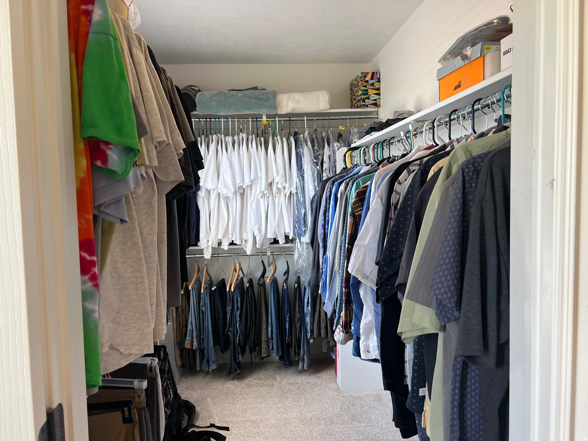 Walk-in closet with carpet flooring, white walls, and built-in shelving