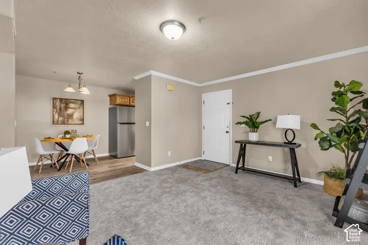 Living area with gray carpeting, crown molding, and a white entry door