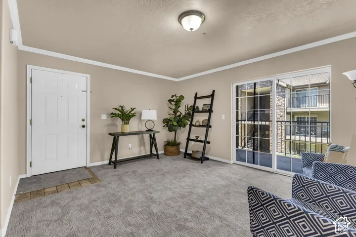Spacious interior featuring neutral wall tones, crown molding, and a carpeted floor
