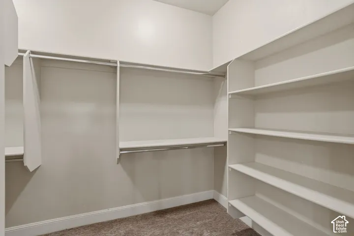 Walk-in closet featuring extensive built-in shelving, multiple hanging rods, and neutral-toned carpeting