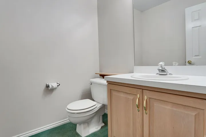 Bathroom featuring a light wood-finish vanity with a white countertop and integrated sink, a large wall-mounted mirror, a standard toilet, and green-hued carpet flooring