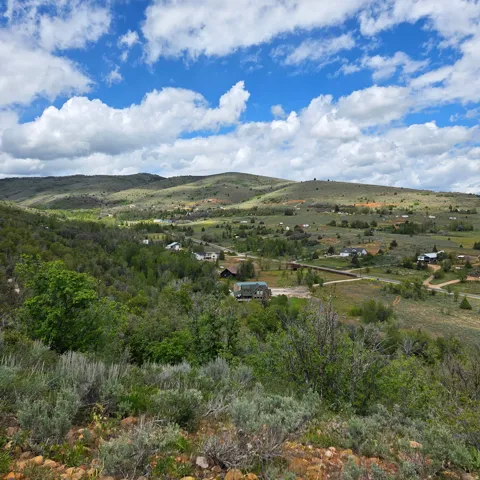 Expansive natural landscape with rolling hills and distant properties, featuring a mix of evergreen and deciduous trees, open grassy areas, and a distinct blue sky with white clouds
