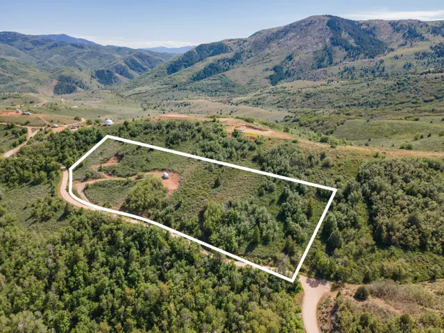 Expansive mountain property featuring dense tree coverage, a natural clearing, and a winding dirt road