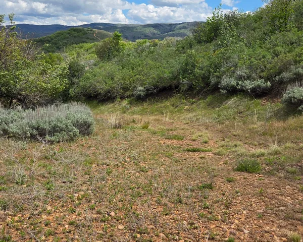 Expansive natural landscape featuring rolling hills, varied green foliage, and distant mountainous terrain