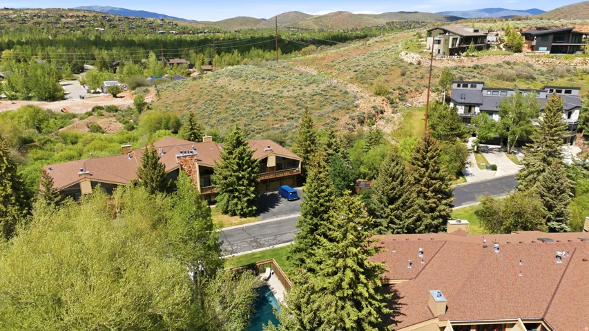 Expansive property featuring a brown shingle roof, multiple chimneys, surrounding mature trees, and a visible portion of a swimming pool