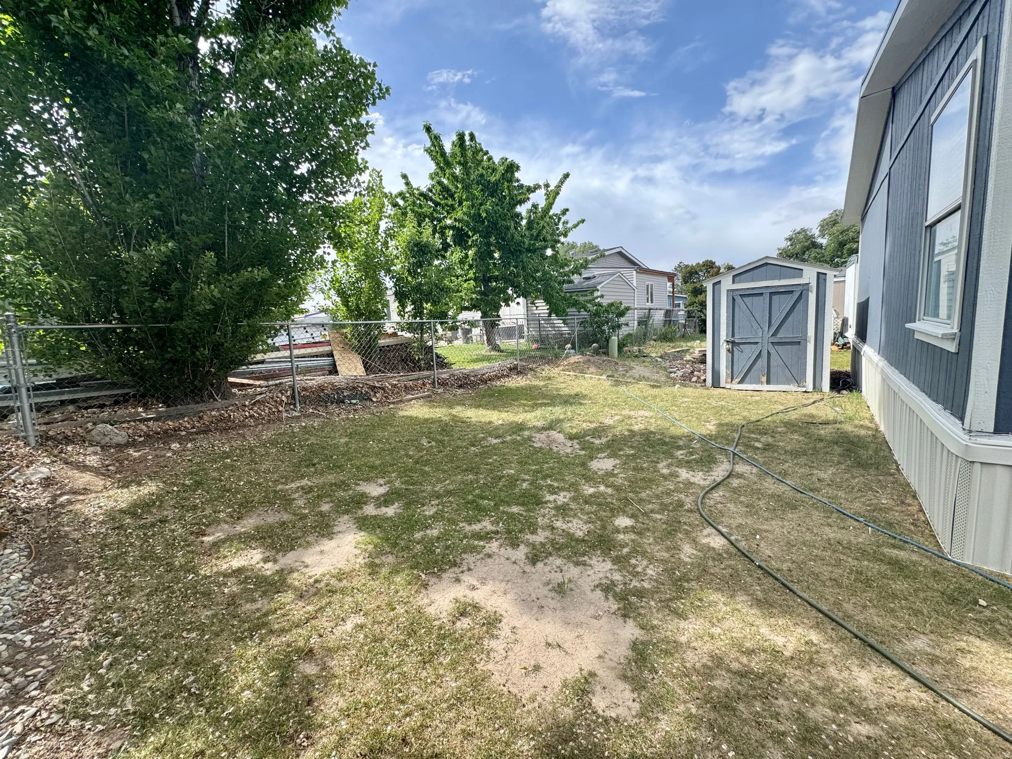 Chain-link fenced backyard featuring a detached storage shed, mature trees, and a siding exterior