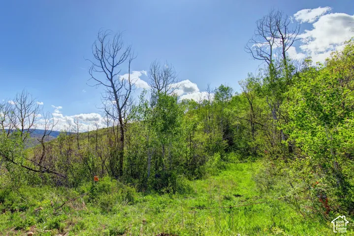4967 S Woodland Way, Kamas, Utah 84036