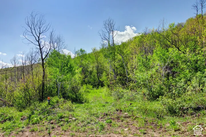 4967 S Woodland Way, Kamas, Utah 84036