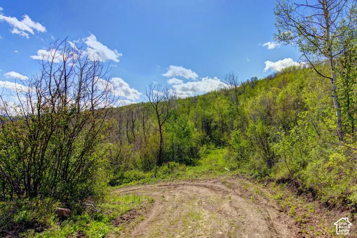 4967 S Woodland Way, Kamas, Utah 84036