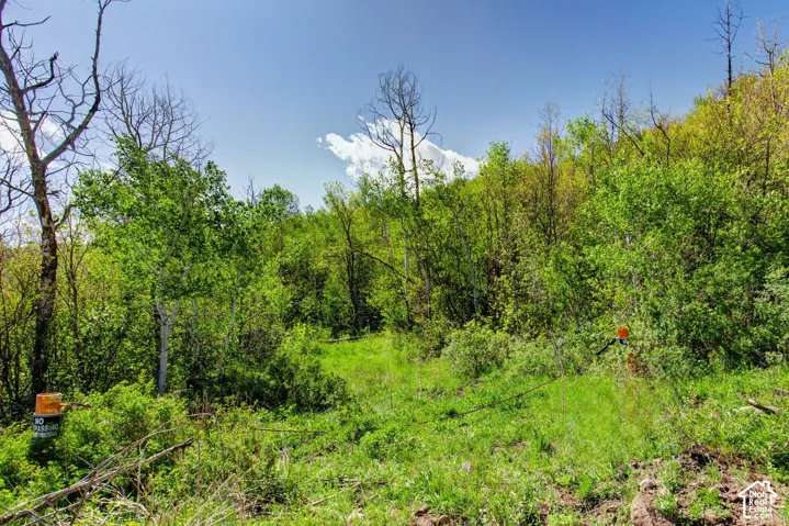 4967 S Woodland Way, Kamas, Utah 84036