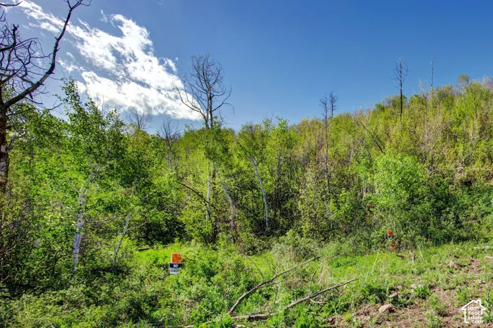 4967 S Woodland Way, Kamas, Utah 84036