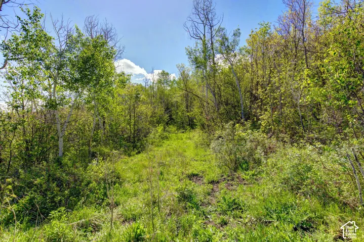 4967 S Woodland Way, Kamas, Utah 84036