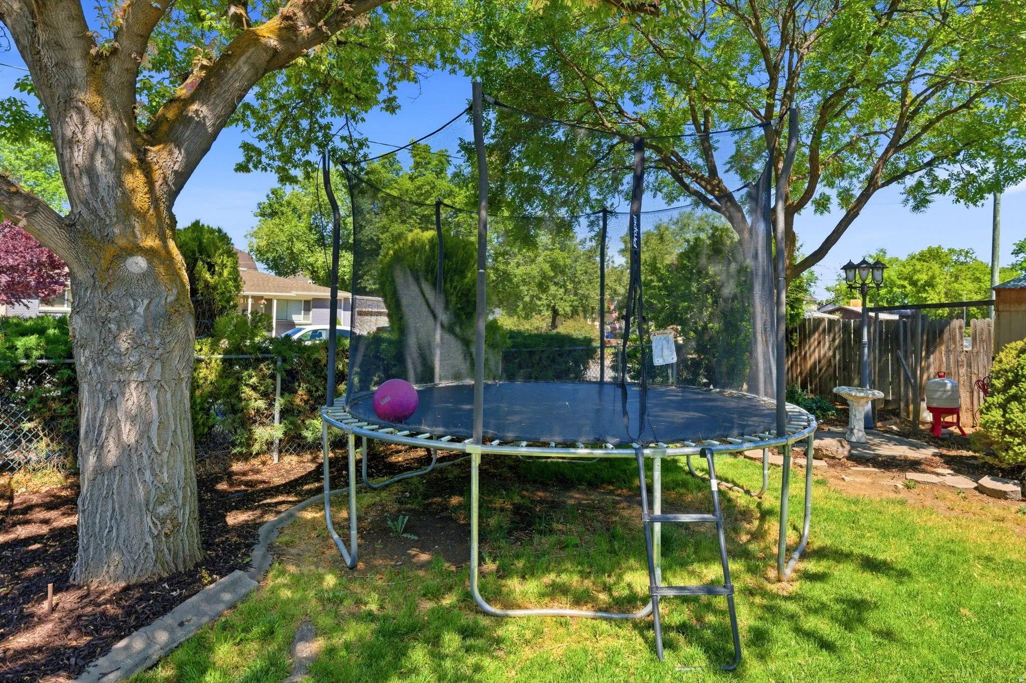 Expansive backyard featuring mature trees providing ample shade, a manicured lawn, and a fenced perimeter