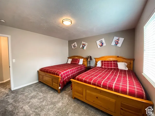 Wall-to-wall carpeting with a neutral color palette