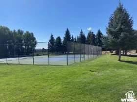 Tennis court featuring a dark chain-link fence, surrounded by green lawn and mature evergreen trees
