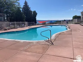 Outdoor swimming pool with a freeform shape and concrete decking