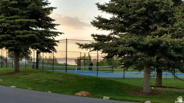 Blue hard court with perimeter fencing, surrounded by mature evergreen trees