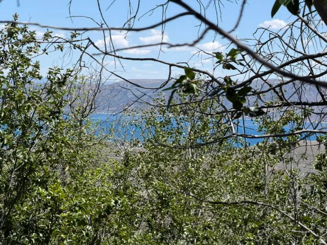 Expansive water feature with distant mountainous terrain, framed by lush foliage and natural branches