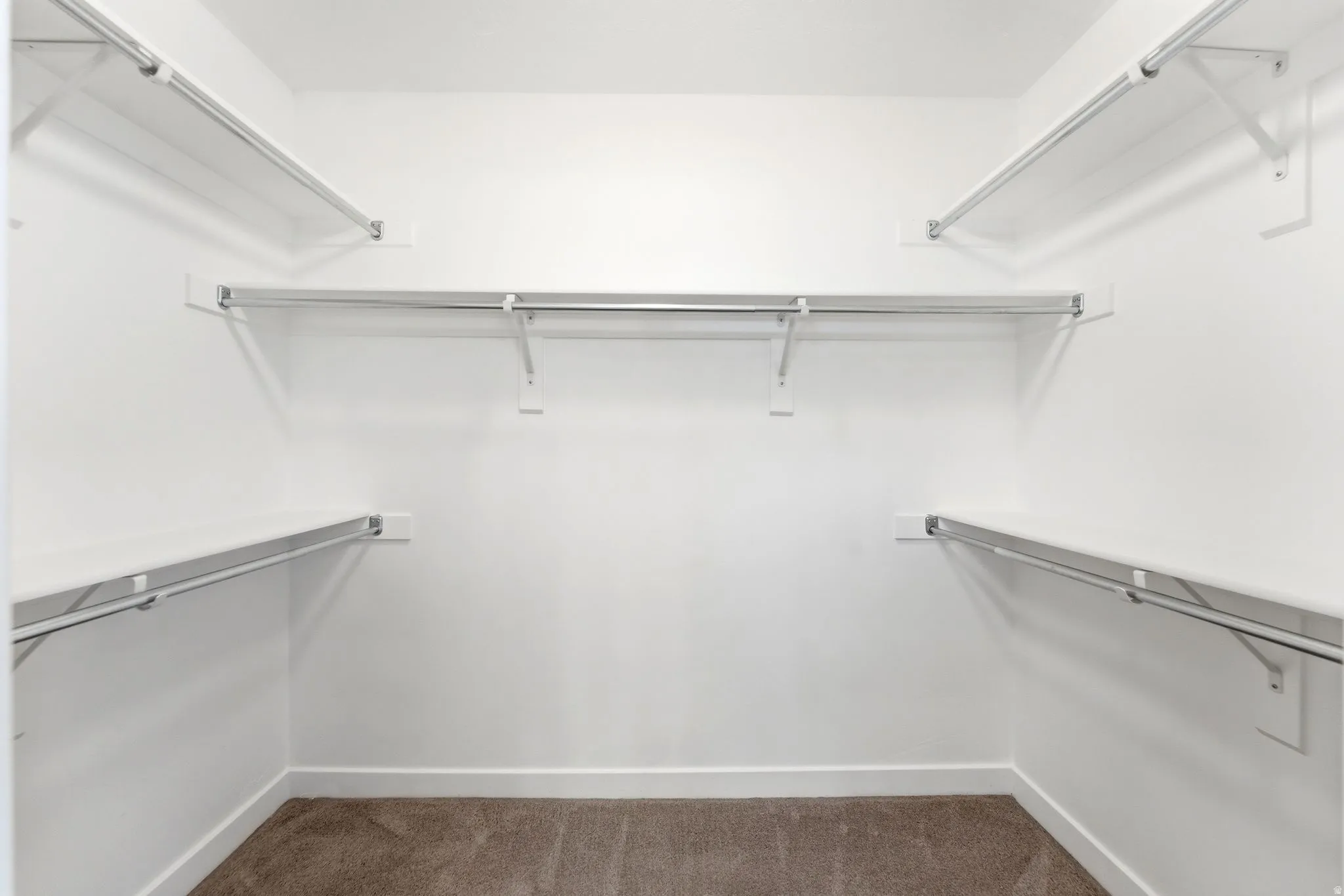 Walk-in closet featuring white painted walls, a plush brown carpet, built-in shelving, and metal hanging rods