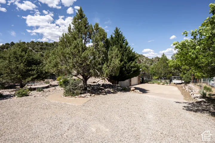 Gravel driveway with a concrete section, surrounded by mature trees and natural landscaping