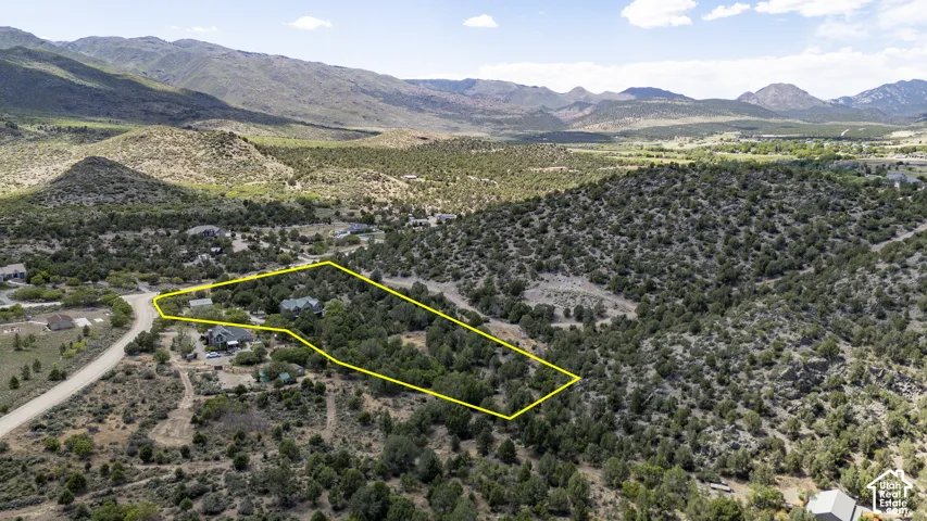 Aerial perspective showcasing a parcel with established vegetation and a rural road