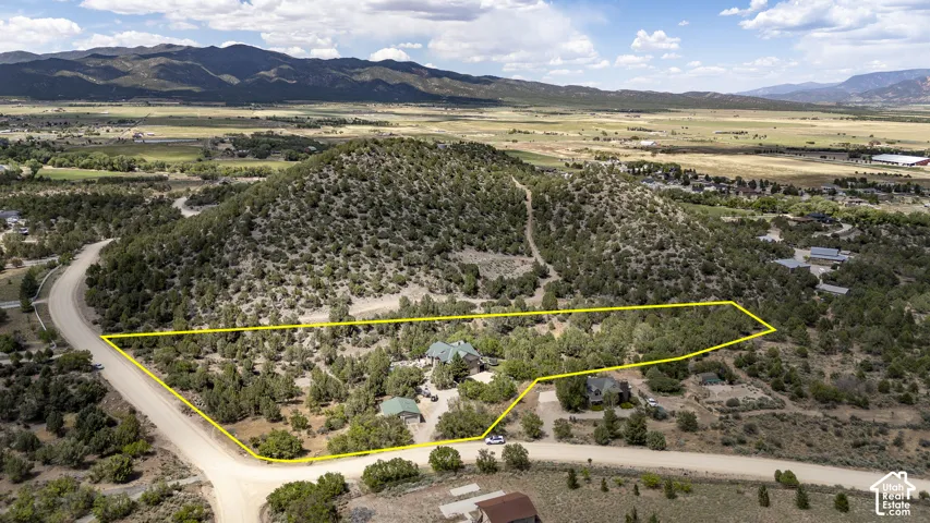 Expansive parcel featuring a natural, treed landscape with a dirt road boundary