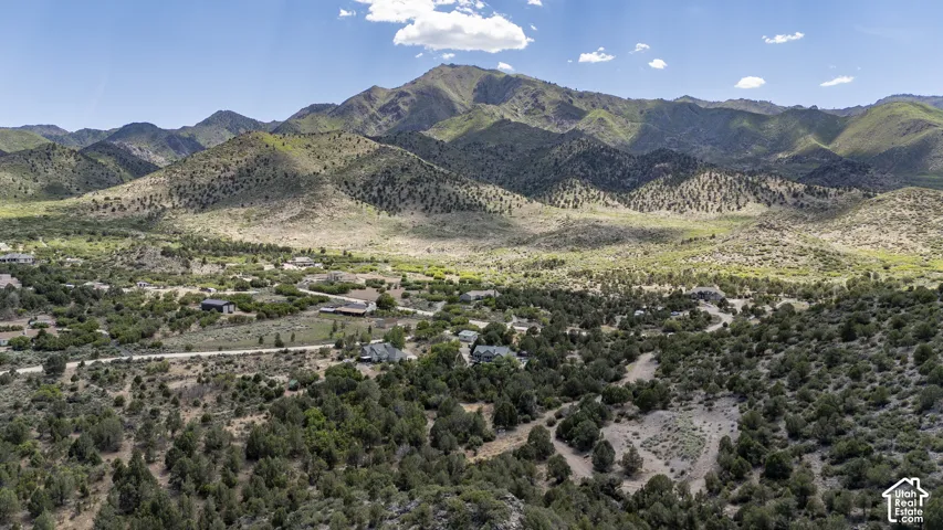 Expansive mountain landscape with diverse natural vegetation