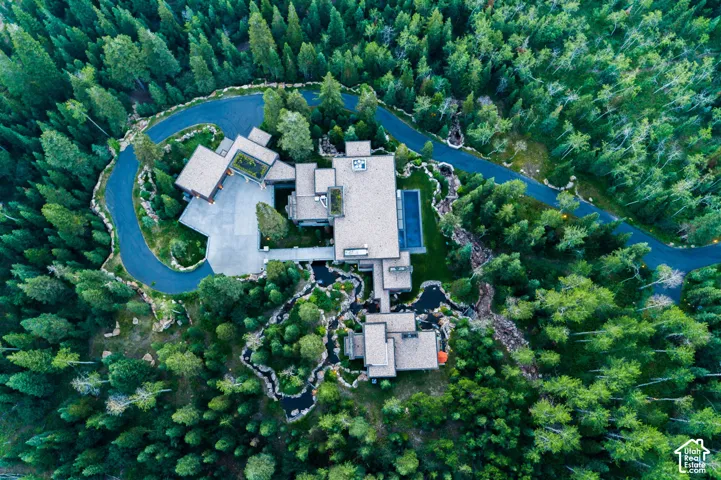Expansive wooded property featuring a multi-structure residence with a large asphalt driveway