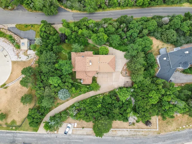 Property featuring a private driveway, mature trees, and a tan shingle roof