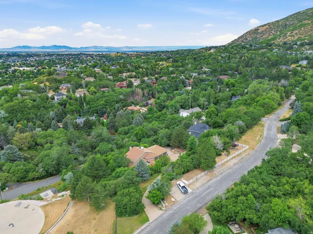 Aerial perspective showcasing a residential neighborhood with extensive mature tree coverage