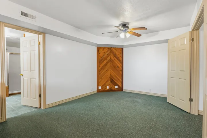 Spacious interior room featuring green carpet flooring, a natural wood-panel accent wall, and a ceiling fan with integrated lighting