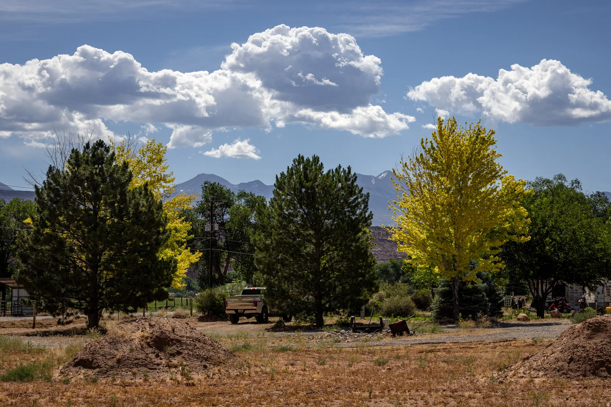 Mature trees and a mountain backdrop under a bright sky with prominent clouds