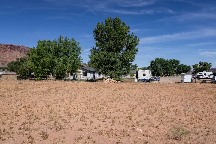 Expansive open lot with scattered ground cover, bordered by mature trees
