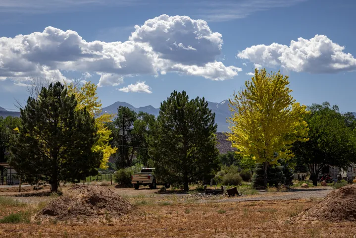 Mature trees and a mountain backdrop under a bright sky with prominent clouds