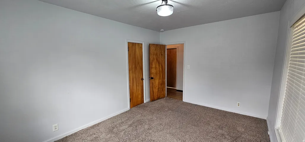 Carpeted room featuring light gray walls, a ceiling-mounted light fixture, and two wood-finish doors