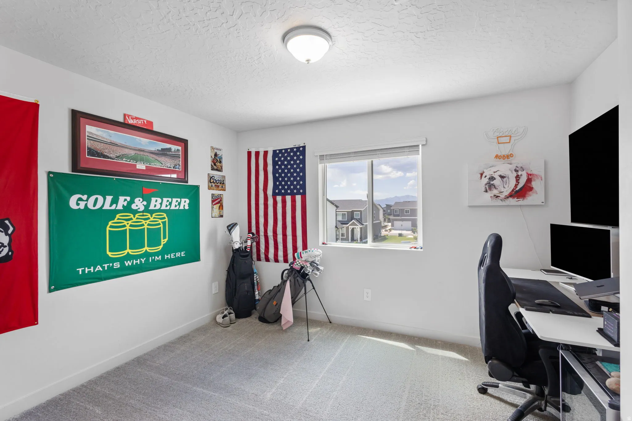 Light-filled room featuring a broad window, neutral-toned carpeting, and a ceiling-mounted light fixture