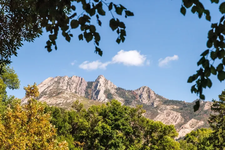 2250 E Murray Holladay Rd #202, Holladay, Utah 84117
