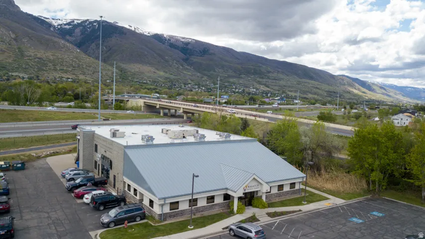 Bird's Eye View with a Mountain Backdrop
