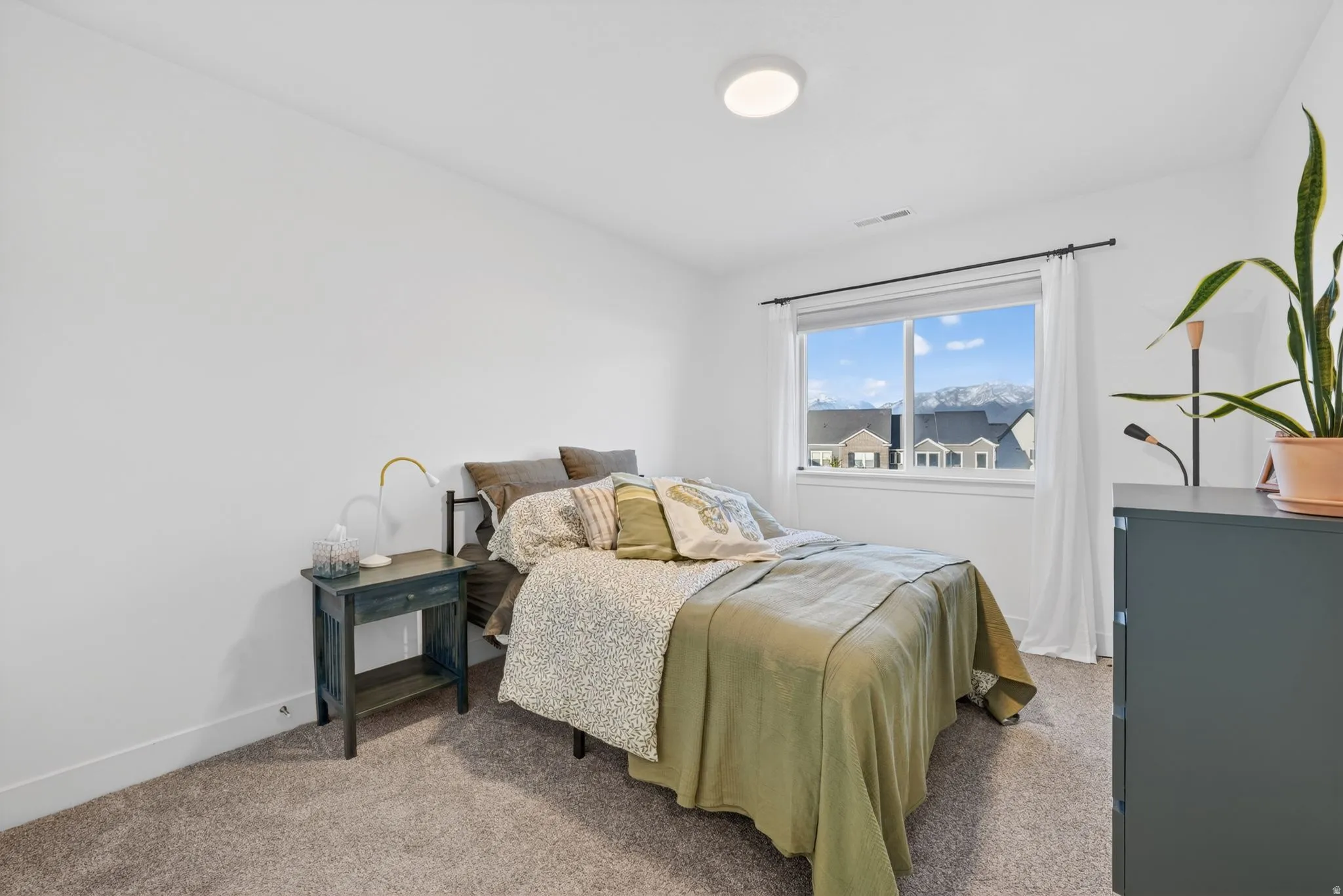 Bright interior room featuring a large window with mountain scenery, plush carpeting, a built-in ceiling light fixture, and white wall finishes