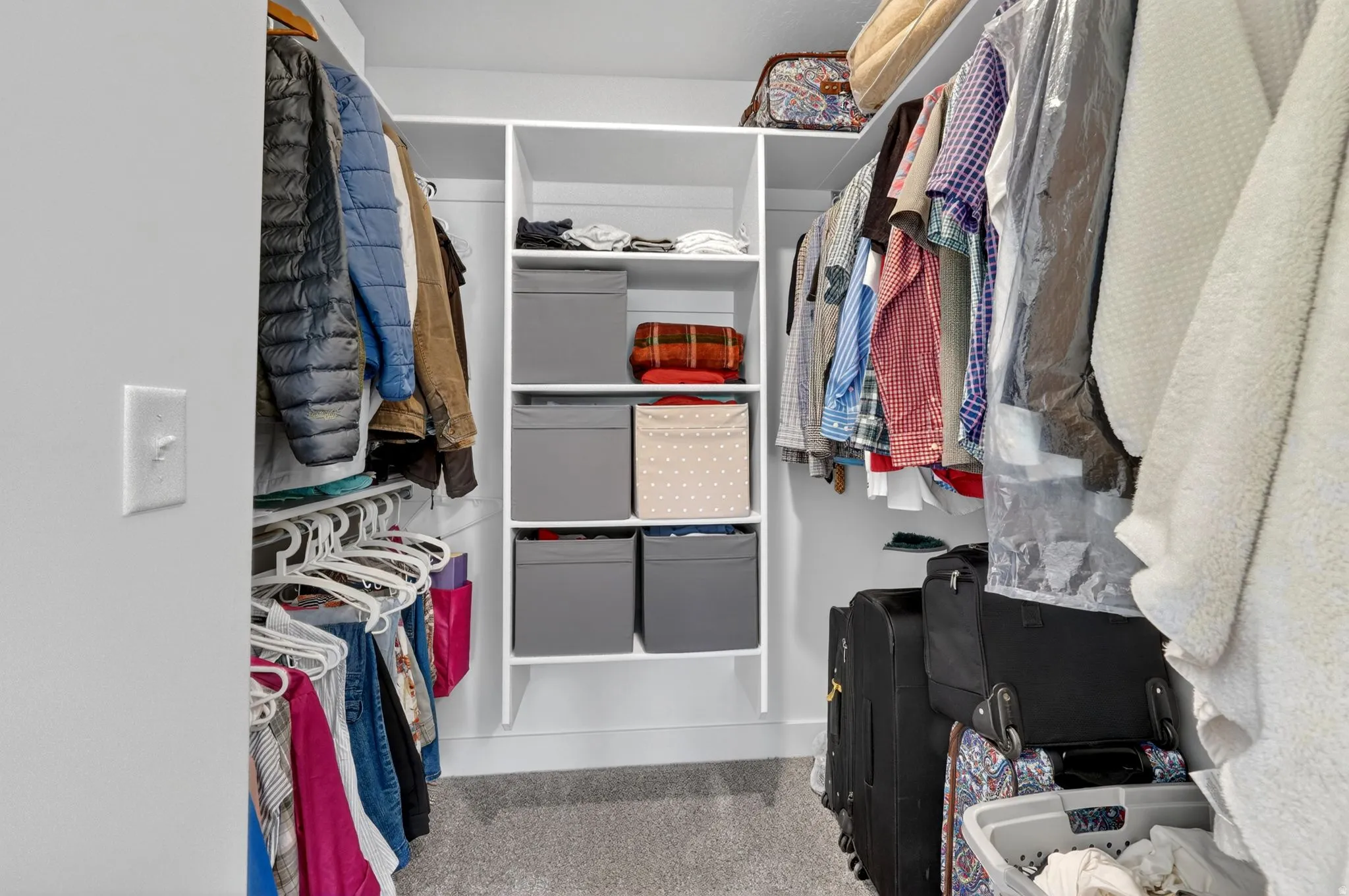 Walk-in closet featuring white wall-mounted shelving, multiple hanging rods, and light gray carpeting