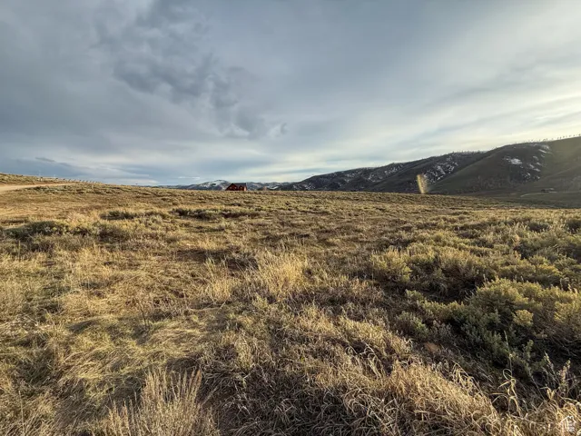 Expansive natural landscape featuring varied grasses and low-lying shrubs