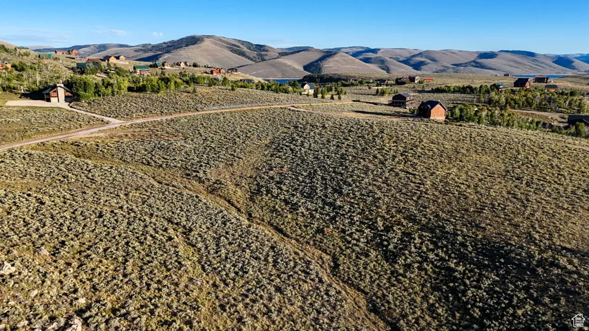 Expansive sloped terrain featuring natural foliage and a visible unpaved road
