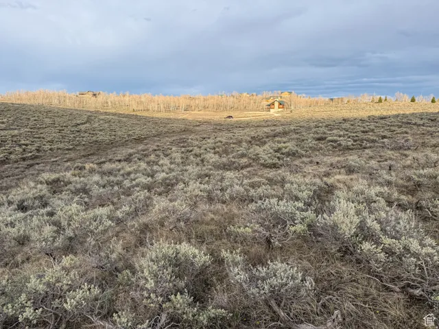 Expansive undeveloped lot featuring diverse natural vegetation and a gentle slope
